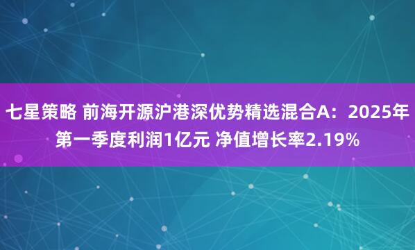 七星策略 前海开源沪港深优势精选混合A：2025年第一季度利润1亿元 净值增长率2.19%