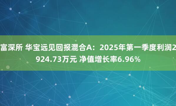 富深所 华宝远见回报混合A：2025年第一季度利润2924.73万元 净值增长率6.96%