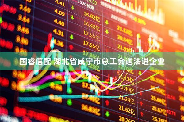 国睿信配 湖北省咸宁市总工会送法进企业